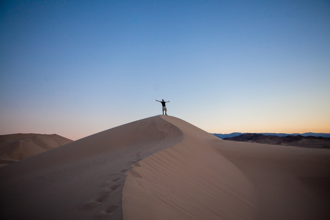 Go where you feel most alive.
